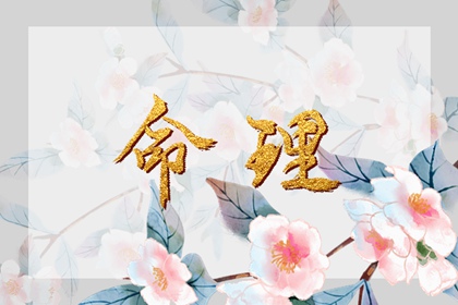 2003年01月04日八字命理查询 此日生的孩子性格特点