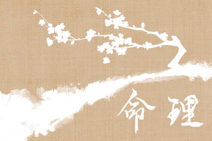 2002年08月22日生辰八字查询 五行缺什么