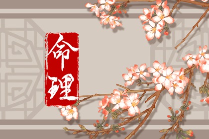 2002年11月28日五行八字命运查询 此日生的孩子性格特点