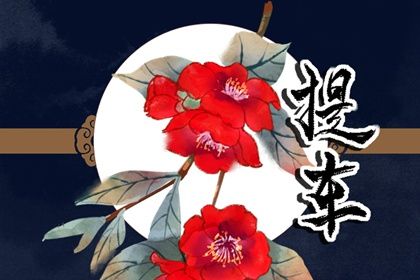 2025年08月28日是提车好日子吗 是提新车好日子吗