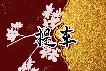2025年09月04日提车好不好 是提新车好日子吗